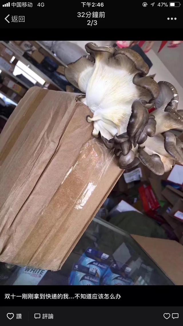 韵达快递多少天算快件延误？