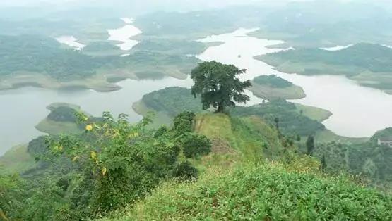 爷爷坟风水决定孙子,祖坟漏洞会不会对后代有影响？