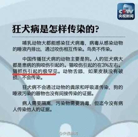 哈尔滨狂犬病发病率:你周围是否有患