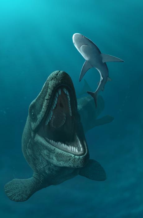 沧龙和平滑侧齿龙,哪个更强?