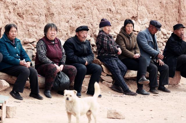 偷狗贼被村民虐打致死:偷狗贼被狗咬死，是狗主人负全责吗，有哪些具体案例？
