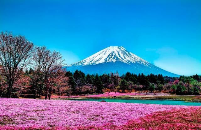 黄石火山:黄石火山和富士山一般在什么时候喷发