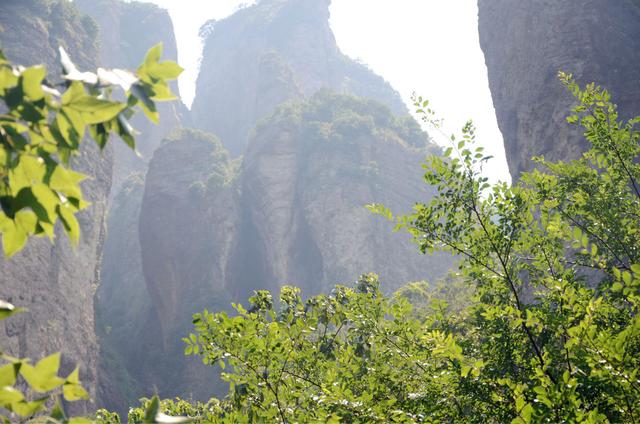 《我和孙悟空过一天》，《西游记》中孙悟空和如来打赌失败后，为何大呼如来骗他