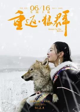 狼王与藏獒阅读全文:都说“十犬一獒”，藏獒真的有那么厉害吗？ 狼王归来免费阅读全文