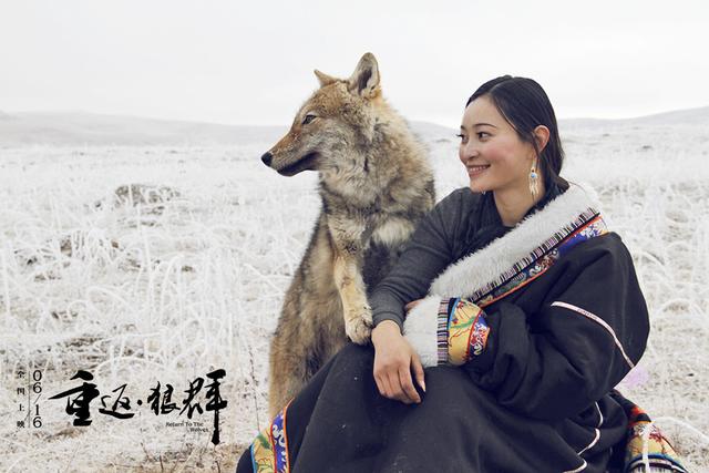 狼王与藏獒阅读全文:都说“十犬一獒”，藏獒真的有那么厉害吗？ 狼王归来免费阅读全文