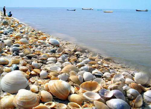 沧州十里金沙滩怎么样？:黄骅港旅游 第33张