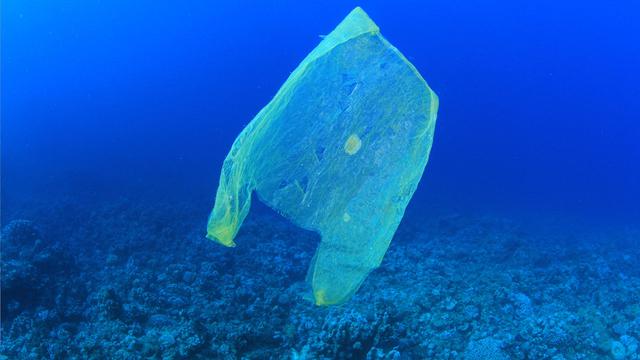 海洋垃圾的危害，面对塑料垃圾对海洋的污染，现在科学上有什么应对的办法吗
