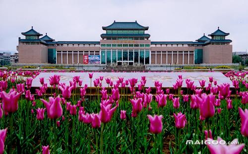 中国玉文化博物馆,中国有哪些国家级博物馆？在哪里呢？