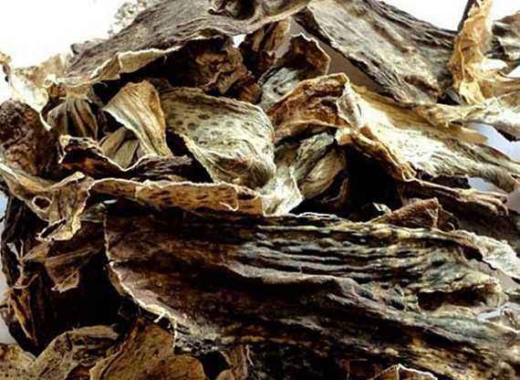 头条问答 - 关于中药蟾酥的效果和毒性,如何正确对待和使用?