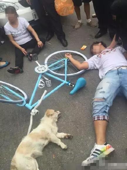 男子摔狗事件:如何看待成都某教师捡狗索酬不成摔狗一事？ 成都摔狗事件