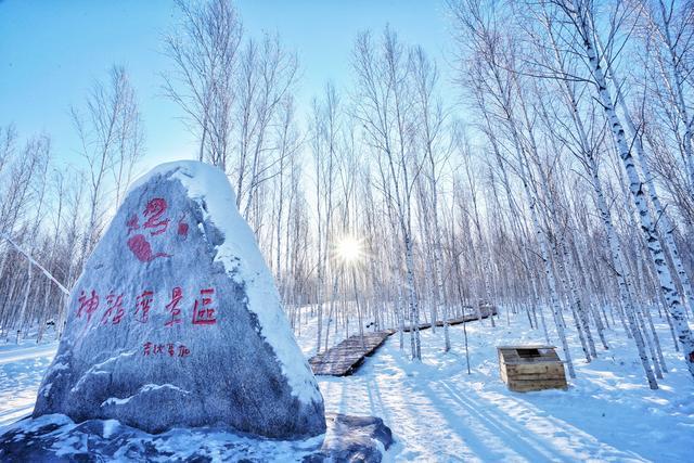 東北冬天旅遊_東北哈爾濱還沒下大雪,