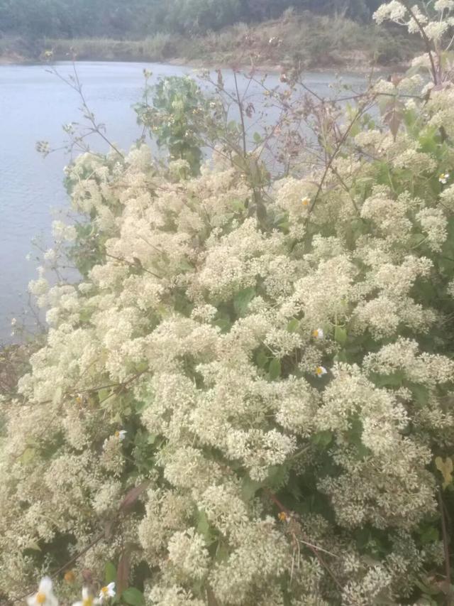 朋友圈语录伤感的句子:有哪些朋友圈简短伤感的说说？(朋友圈说说的好句子伤感简短)