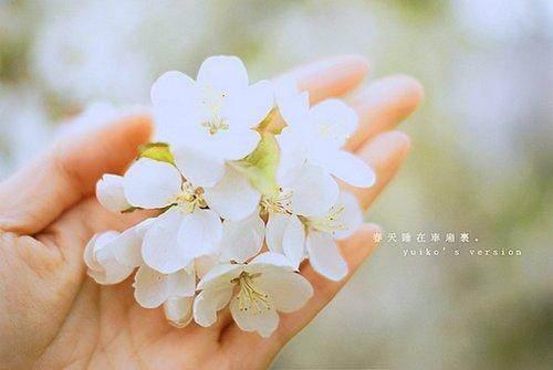 发泄情绪的句子粗话:有哪些幽默有哲理的毒舌语录？