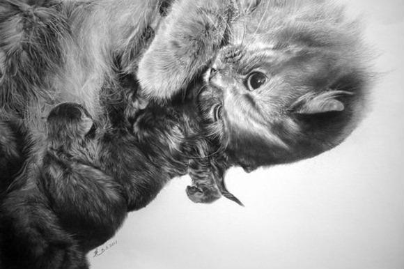 头条问答 - 素描画动物的白色皮毛怎么画?(2个回答)