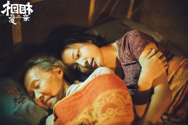 电影相亲相爱哪里可以看