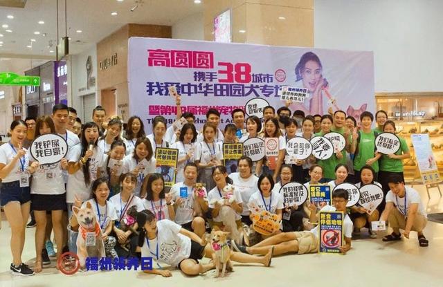 厦门宠物领养狗:帮助流浪动物，福建可以通过哪个公益组织？ 厦门宠物领养中心