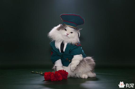 宠物服装:给宠物猫狗穿衣服到底御寒吗？