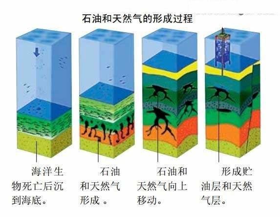 头条问答 - 石油是怎么形成的?会再生吗?(24个回答)