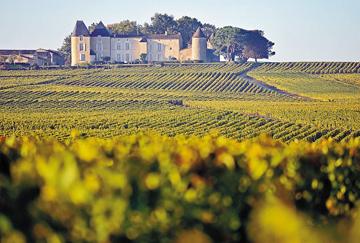 波尔多葡萄酒价格，法国波尔多AOC级别的葡萄酒是最好的吗