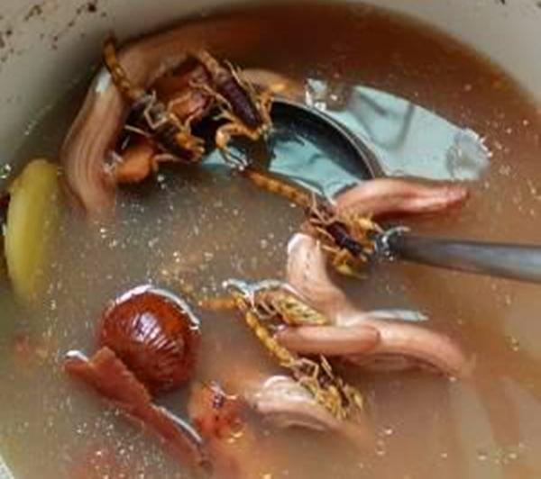 蛇汤的功效壮阳，粤式靓汤“水蛇蝎子汤”好喝吗真的是用蛇和蝎子熬制的吗