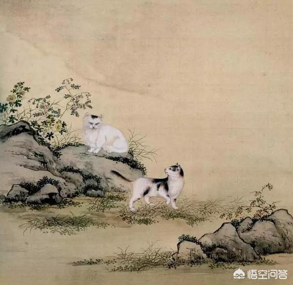 古代猫在哪个国家内受到严格保护:中国历代皇帝里有猫奴吗？