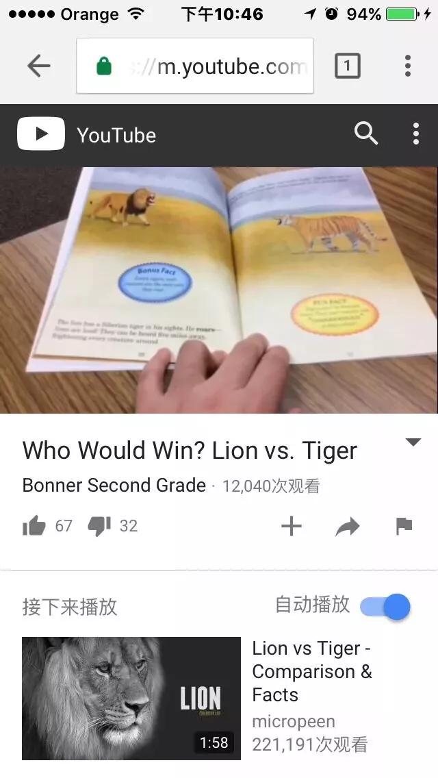 世界上体型最大的猫科动物是:老虎和狮子到底谁是最大猫科动物？
