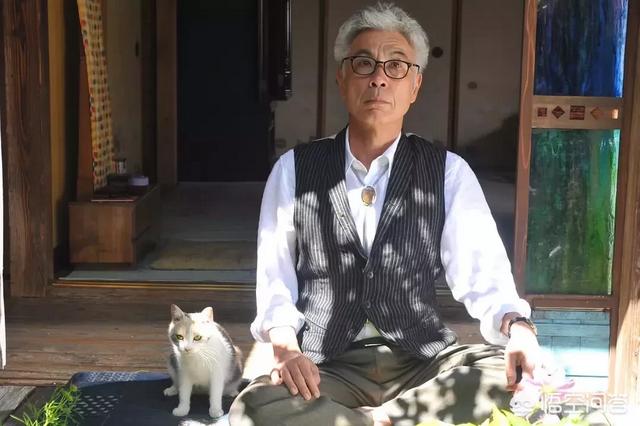 猫咪物语5下载:猫咪庭院物语下载 有没有关于猫的电影的推荐？