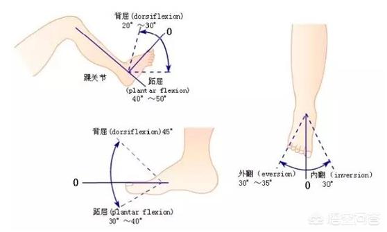 脚背脚踝骨裂的症状:右脚踝骨骨裂，应如何恢复？