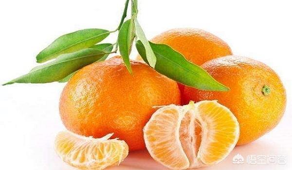 冬季吃什么水果好什么国内应季水果营养价值高些