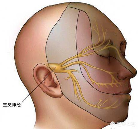 嘴角起泡是什么原因:嘴角总上火长水泡是什么原因？