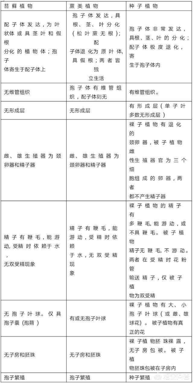 头条问答 蕨类植物和苔藓类植物怎么区分 1个回答