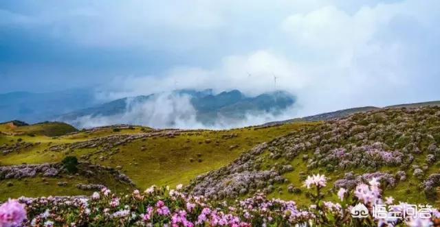 娘娘山海拔,贵州盘州市哪个景区最好玩？