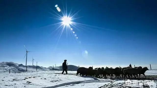娘娘山海拔,贵州盘州市哪个景区最好玩？
