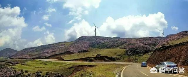 娘娘山海拔,贵州盘州市哪个景区最好玩？