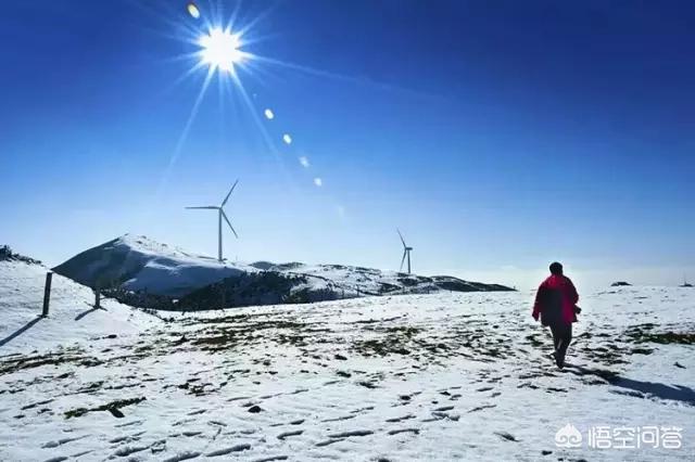 娘娘山海拔,贵州盘州市哪个景区最好玩？