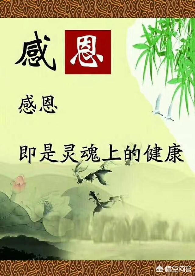 煮茶器怎么煮茶,煮茶器煮茶和开水泡茶，哪种更好？