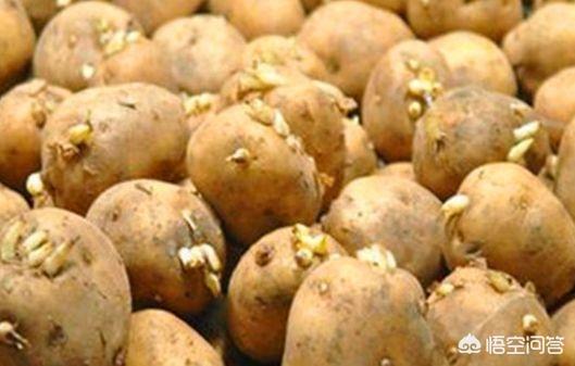 头条问答 土豆怎样做过夜不变颜色 2个回答