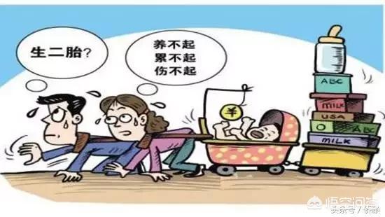 老母猪生小孩:车前草能不能用来喂母猪，哪位大神告诉我