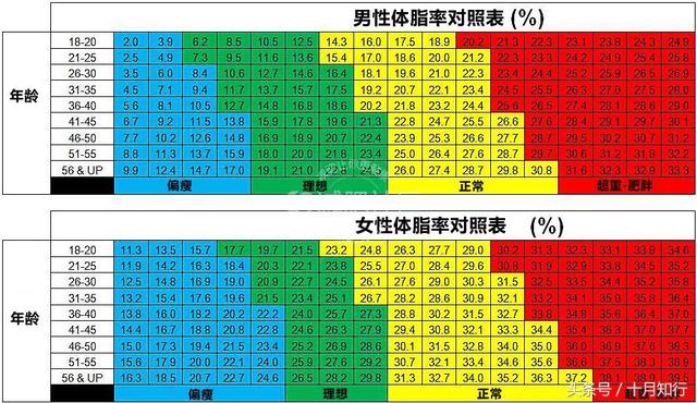 怎么样知道自己的体脂多少？