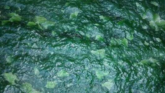 玉的专业知识,玉石中到底包含什么样的财富？