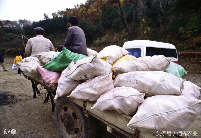 昆莱小雪人 刷小艺:生于不同年代的你，童年的年味是怎样的还记得吗？