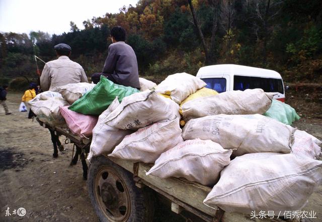 七八十年代山村鬼故事在线听，你在部队听老兵讲过哪些流传下来的恐怖传说