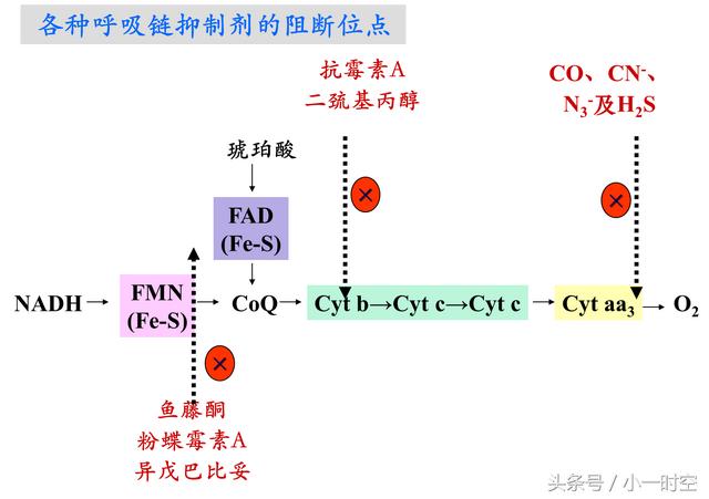 一氧化碳中毒治疗(一氧化碳中毒治疗多久可以出院)