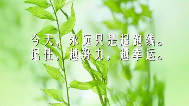 早安心语励志181005：成功的路上并不拥挤，你只管努力