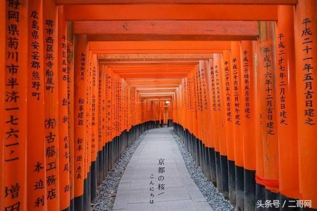 三里屯野战:北京三里屯的网红墙是怎么回事