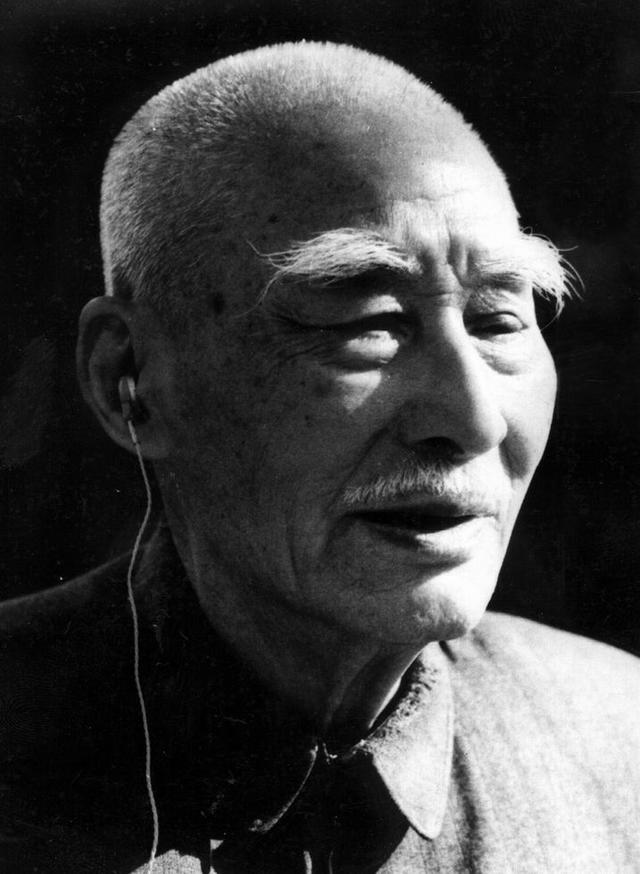 在我的后园可以看见墙外有两株树一株是枣树还有一