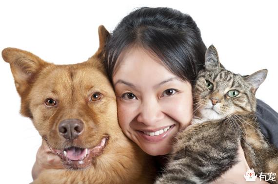 马鞍山宠物猫免费领养:#宠爱日#从哪些渠道可以找到待领养的动物？