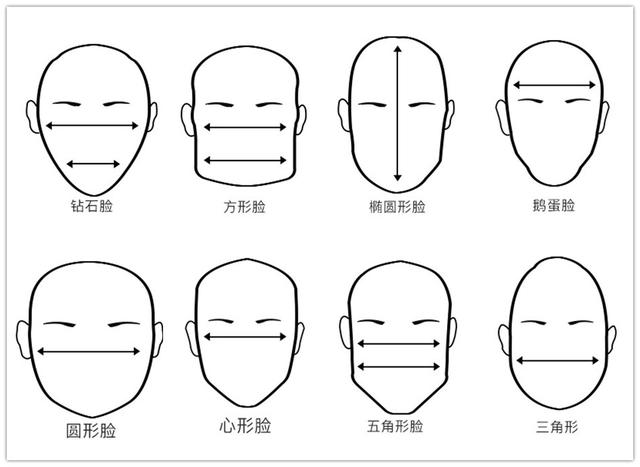 8种脸型图片