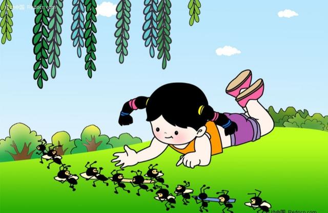 农村俗语「蚂蚁搬家蛇过道,明日必有大雨到」有没有道理?-头条问答