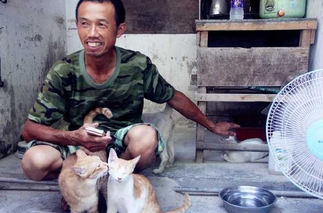 女孩收养流浪猫狗感染险丧命:期喂养流浪猫狗，咬伤人的话要赔偿吗？
